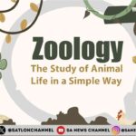 Zoology The Study of Animal Life in a Simple Way