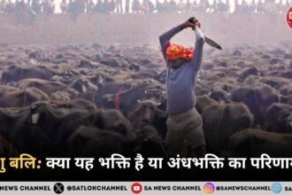 पशु बलि क्या यह भक्ति है या अंधभक्ति का परिणा