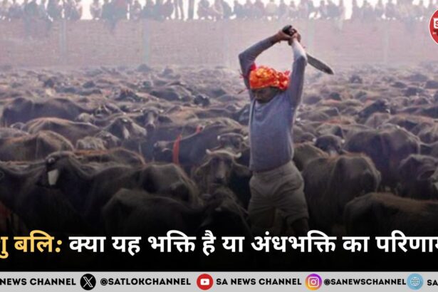 पशु बलि क्या यह भक्ति है या अंधभक्ति का परिणा