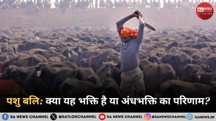 पशु बलि क्या यह भक्ति है या अंधभक्ति का परिणा