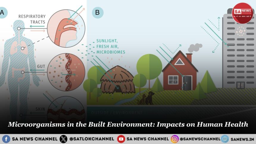 Microorganisms in the Built Environment Impacts on Human Health