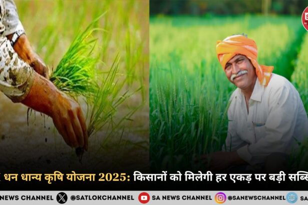 PM धन धान्य कृषि योजना 2025 किसानों को मिलेगी हर एकड़ पर बड़ी सब्सिडी!