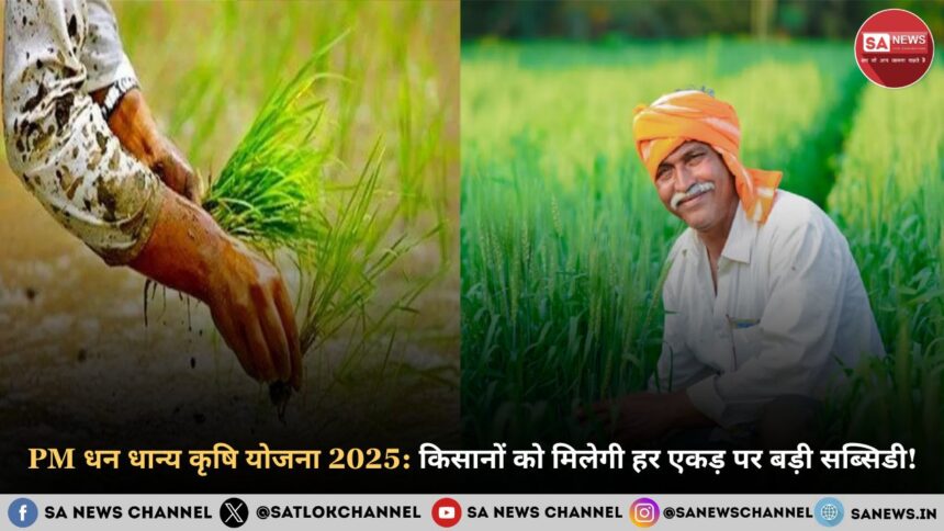 PM धन धान्य कृषि योजना 2025 किसानों को मिलेगी हर एकड़ पर बड़ी सब्सिडी!
