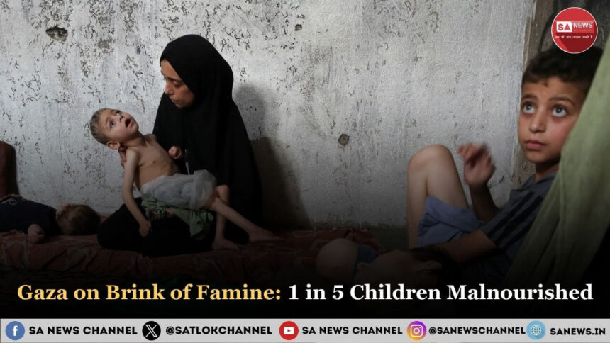 Gaza on Brink of Famine 1 in 5 Children Malnourishe
