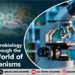 Exploring Microbiology A Journey Through the Hidden World of Microorganisms