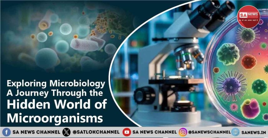 Exploring Microbiology A Journey Through the Hidden World of Microorganisms