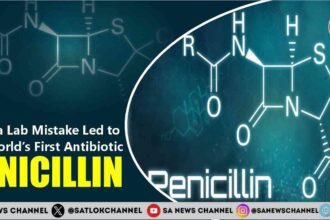 How a Lab Mistake Led to the World’s First Antibiotic Penicillin