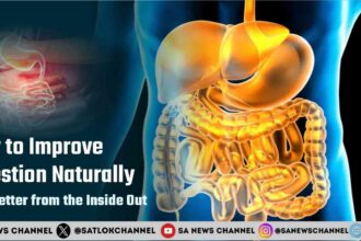 Improve Your Gut Health in 2025 How to Improve Digestion Naturally – Feel Better from the Inside Out