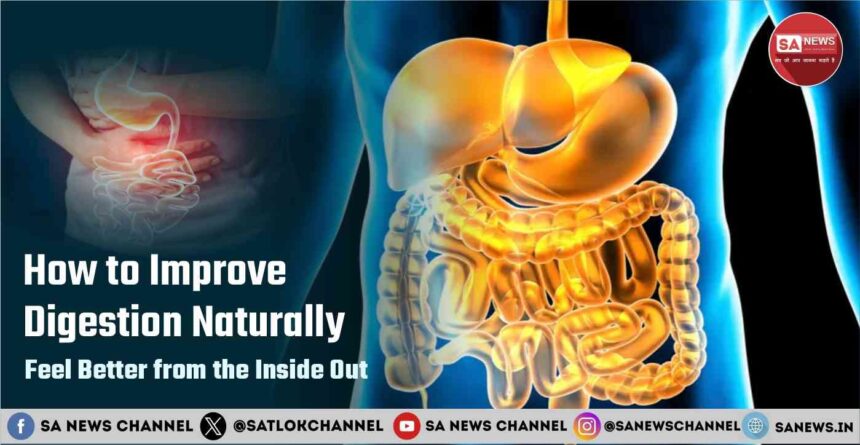 Improve Your Gut Health in 2025 How to Improve Digestion Naturally – Feel Better from the Inside Out