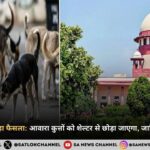 supreme-court-order-on-stray-dogs-hindi