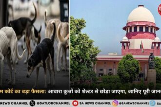 supreme-court-order-on-stray-dogs-hindi