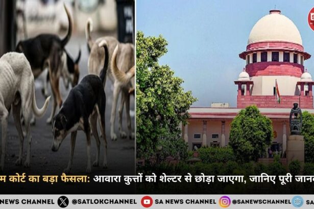 supreme-court-order-on-stray-dogs-hindi