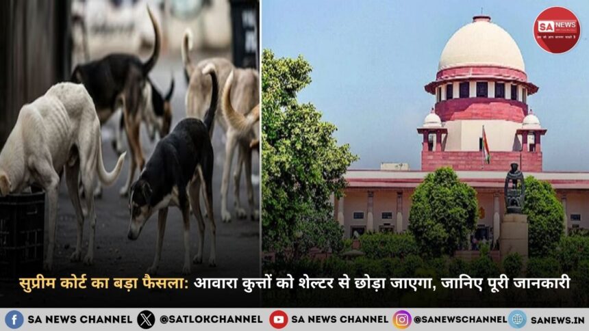 supreme-court-order-on-stray-dogs-hindi