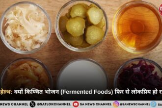 गट हेल्थ: क्यों किण्वित भोजन (Fermented Foods) फिर से लोकप्रिय हो रहे हैं