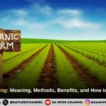 Organic Farming: Meaning, Methods, Benefits, and How to Start in India