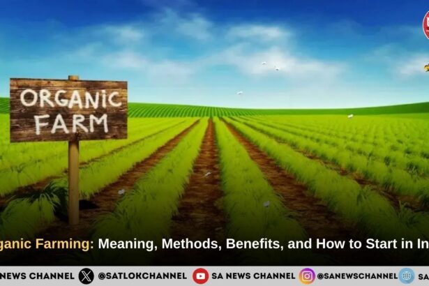 Organic Farming: Meaning, Methods, Benefits, and How to Start in India