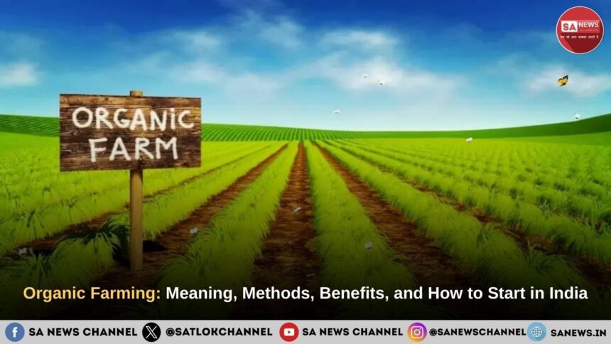 Organic Farming: Meaning, Methods, Benefits, and How to Start in India