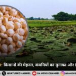 बिहार का मखाना: किसानों की मेहनत, कंपनियों का मुनाफा और MSP की ज़रूरत