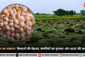 बिहार का मखाना: किसानों की मेहनत, कंपनियों का मुनाफा और MSP की ज़रूरत