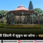 भागदौड़ भरी ज़िंदगी में सुकून का कोना – शहरी बागवानी