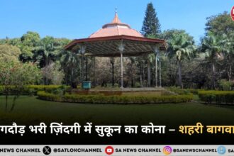 भागदौड़ भरी ज़िंदगी में सुकून का कोना – शहरी बागवानी