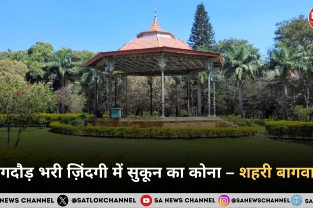 भागदौड़ भरी ज़िंदगी में सुकून का कोना – शहरी बागवानी