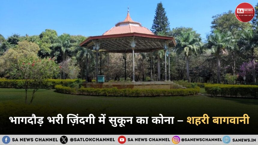 भागदौड़ भरी ज़िंदगी में सुकून का कोना – शहरी बागवानी