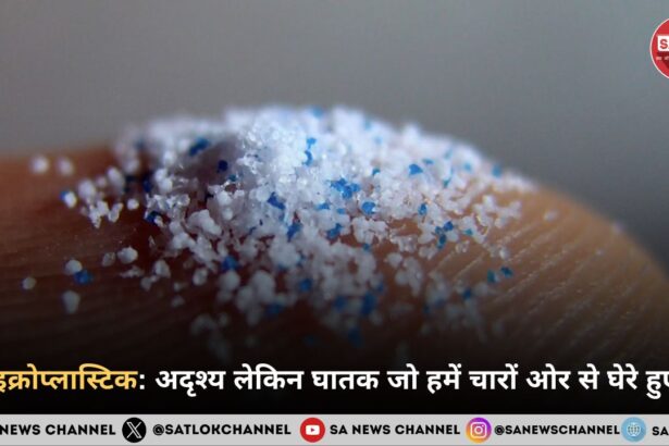 माइक्रोप्लास्टिक अदृश्य लेकिन घातक जो हमें चारों ओर से घेरे हुए है