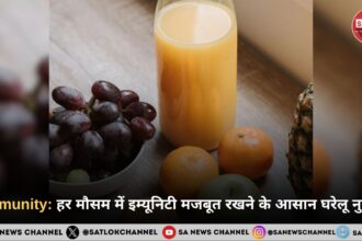 Immunity हर मौसम में इम्यूनिटी मजबूत रखने के आसान घरेलू नुस्खे