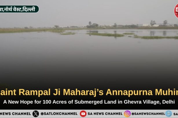 A New Hope for 100 Acres of Submerged Land in Ghevra Village, Delhi