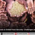 Rising Food Costs & Global Food Security: Challenges and India’s Role