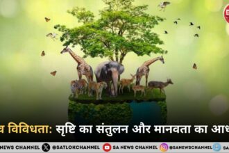 जैव विविधता: सृष्टि का संतुलन और मानवता का आधार