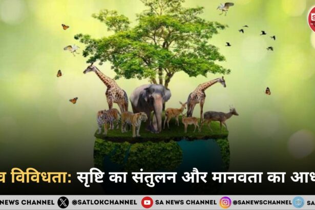 जैव विविधता: सृष्टि का संतुलन और मानवता का आधार