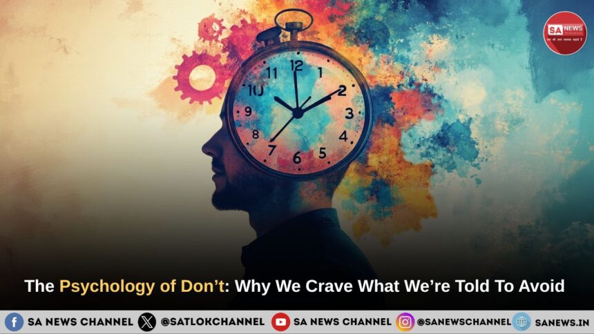 The Psychology of Don’t: Why We Crave What We’re Told To Avoid 