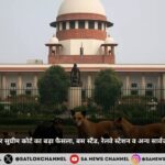 supreme-court-order-removal-stray-dogs-schools-hospitals-bus-stands-hindi