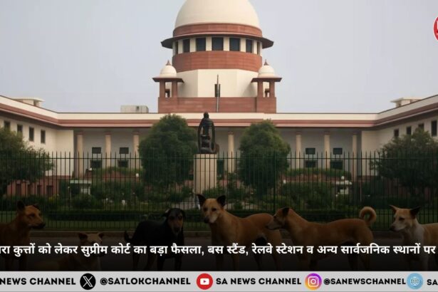 supreme-court-order-removal-stray-dogs-schools-hospitals-bus-stands-hindi