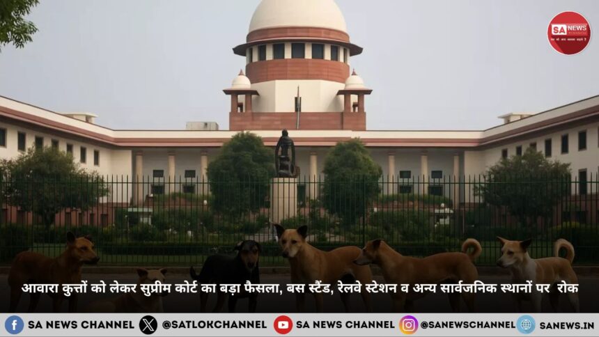 supreme-court-order-removal-stray-dogs-schools-hospitals-bus-stands-hindi