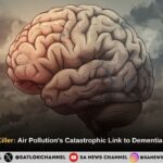 Air Pollution The Curse of Bad Air How Pollution Damages Both Your Lungs and Your Brain