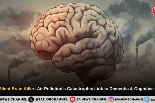 Air Pollution The Curse of Bad Air How Pollution Damages Both Your Lungs and Your Brain