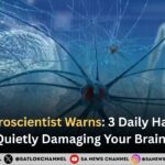 Top Neuroscientist Warns: 3 Daily Habits That Are Quietly Damaging Your Brain Cells