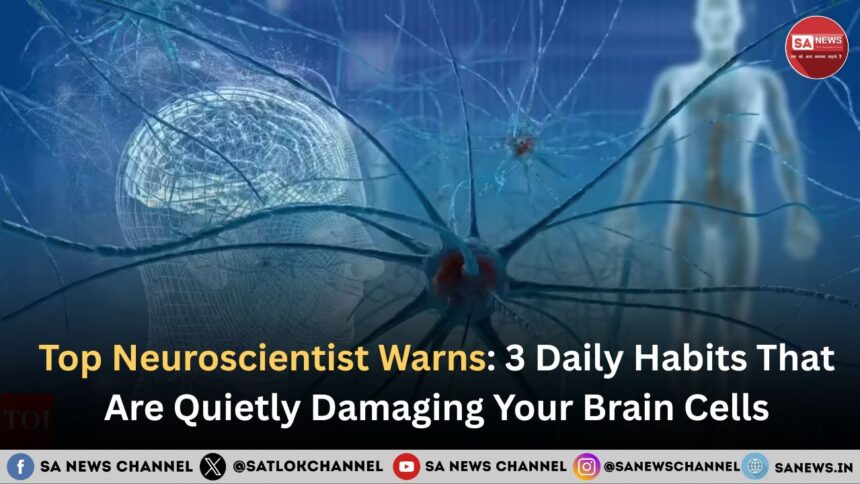 Top Neuroscientist Warns: 3 Daily Habits That Are Quietly Damaging Your Brain Cells