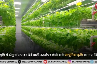 कम भूमि में दोगुना उत्पादन देने वाली ऊर्ध्वाधर खेती बनी आधुनिक कृषि का नया विकल्प