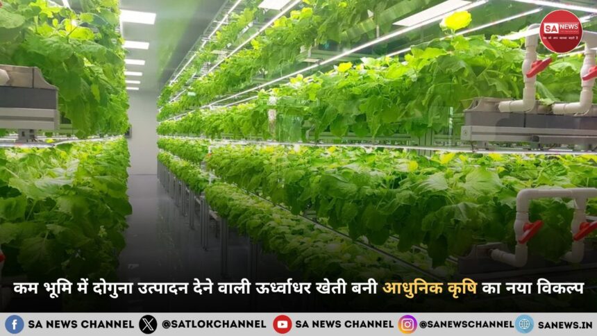 कम भूमि में दोगुना उत्पादन देने वाली ऊर्ध्वाधर खेती बनी आधुनिक कृषि का नया विकल्प