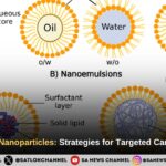 Lipid-based nanoparticles: strategies for targeted cancer therapy