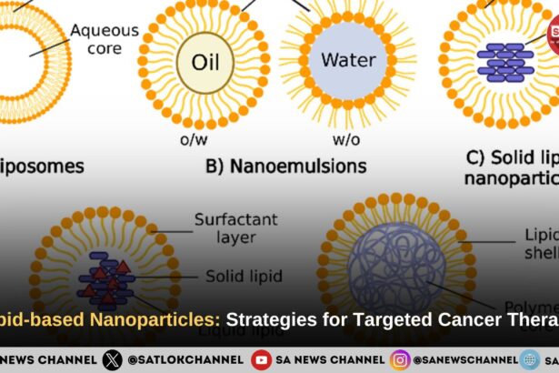 Lipid-based nanoparticles: strategies for targeted cancer therapy