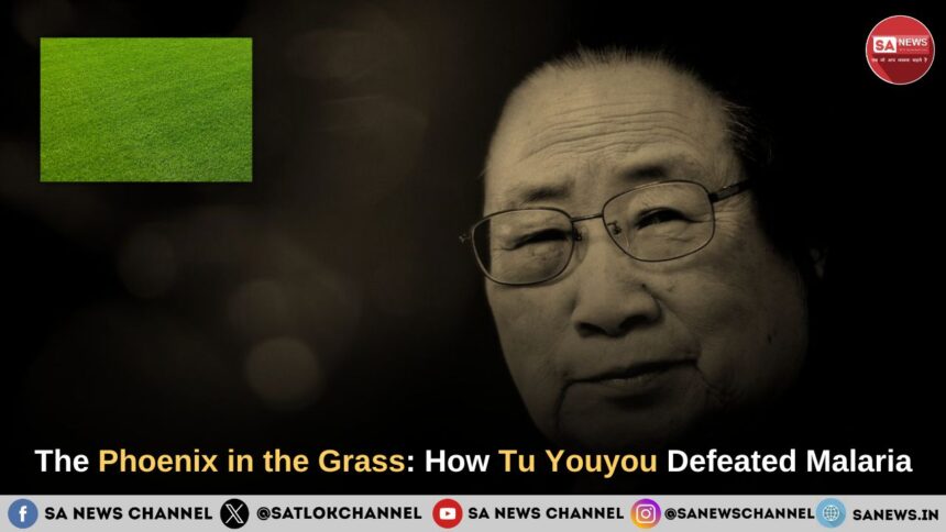 The Phoenix in the Grass How Tu Youyou Defeated Malaria