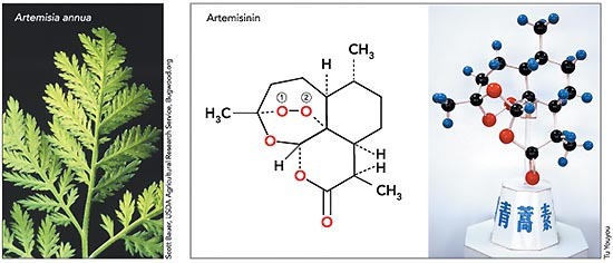 WhatsApp Image 2025 12 10 at 8.33.04 AM