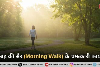 सुबह की सैर (Morning Walk) के चमत्कारी फायदे