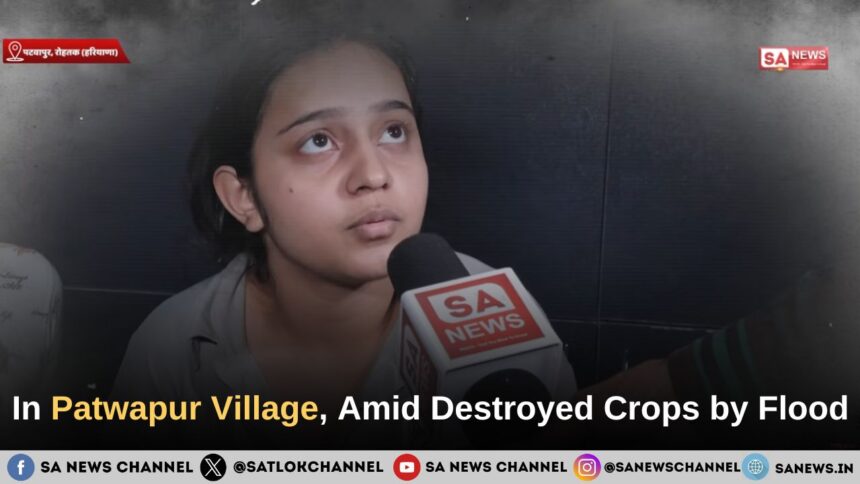 In Patwapur Village, Amid Destroyed Crops by flood