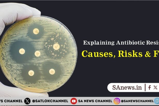 Explaining Antibiotic Resistance Causes, Risks & Fixes